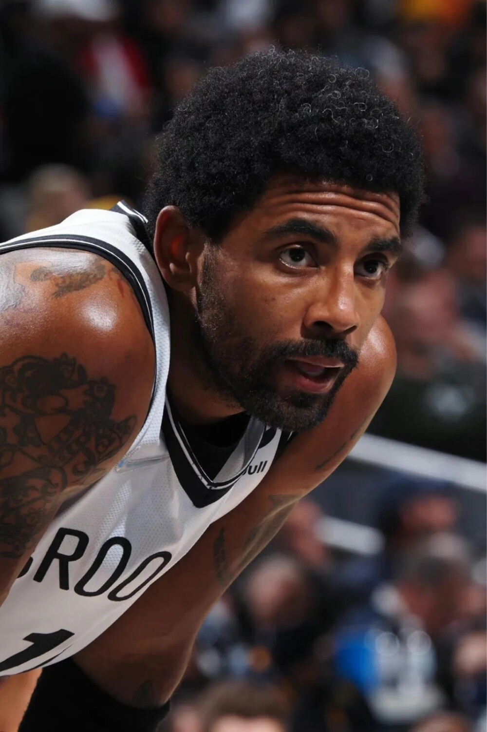 住的短板照 住的短板照