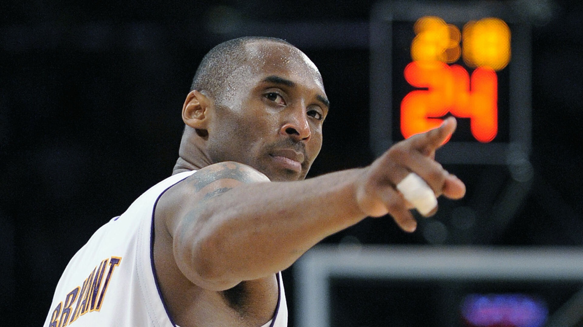 定期举办排 定期举办排